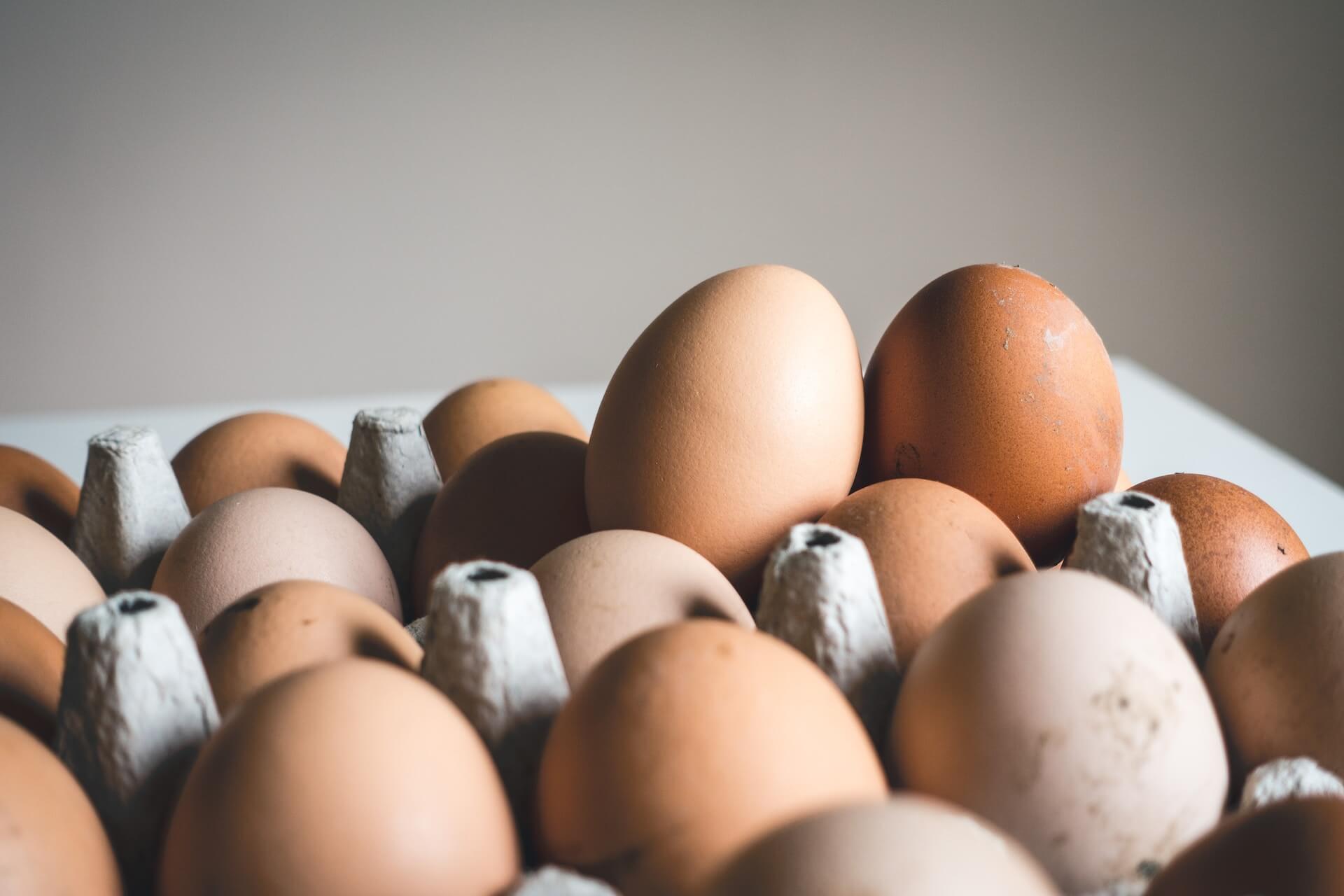 Benefícios do ovo cozido